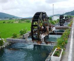 ファイル 343-4.jpg