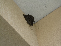 ファイル 35-1.jpg