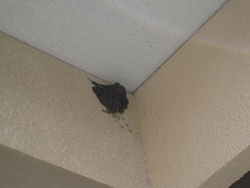 ファイル 35-2.jpg