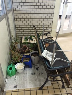 ファイル 365-1.jpeg