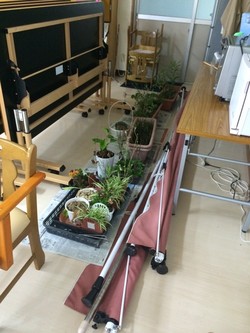 ファイル 365-2.jpeg