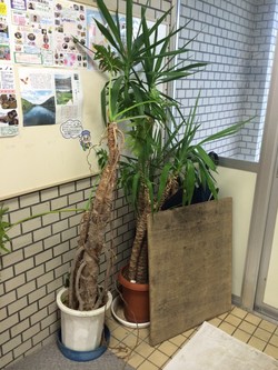 ファイル 365-3.jpeg