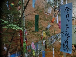 ファイル 367-3.jpg