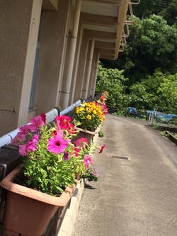 ファイル 368-2.jpeg