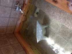 ファイル 371-5.jpg