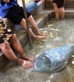 ファイル 372-5.jpg