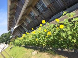 ファイル 375-3.jpeg