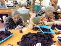 ファイル 384-3.jpg