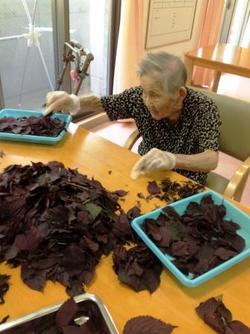 ファイル 384-4.jpg