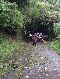 ファイル 389-1.jpeg