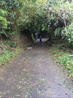 ファイル 389-2.jpeg