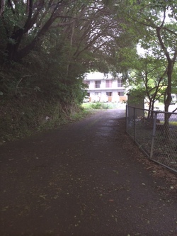 ファイル 389-3.jpeg