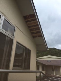 ファイル 390-1.jpeg