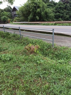 ファイル 390-2.jpeg