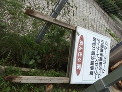 ファイル 390-3.jpeg