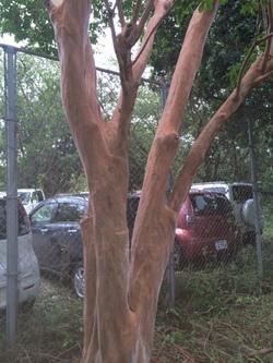 ファイル 391-3.jpeg