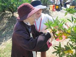 ファイル 432-3.jpg