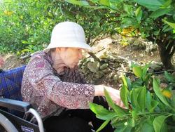 ファイル 432-4.jpg