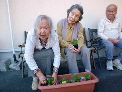 ファイル 436-4.jpg