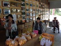 ファイル 460-1.jpg