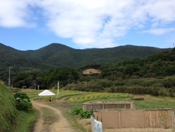 ファイル 460-2.jpg