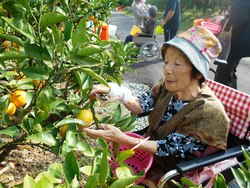 ファイル 461-1.jpg