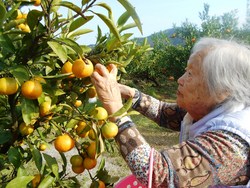 ファイル 461-2.jpg