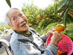 ファイル 461-3.jpg