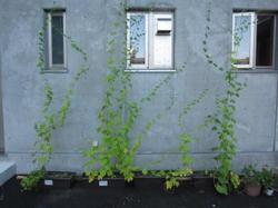 ファイル 48-1.jpg