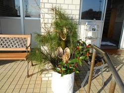 ファイル 488-4.jpg