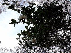 ファイル 494-3.jpg