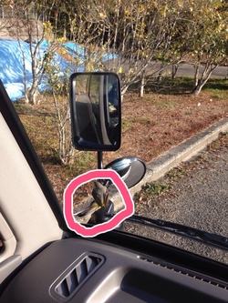 ファイル 510-1.jpg