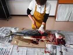 ファイル 511-1.jpg