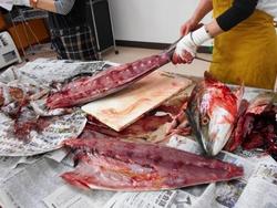 ファイル 511-2.jpg