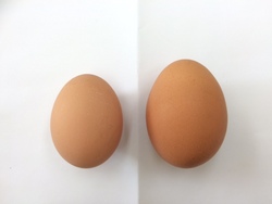 ファイル 514-1.jpg