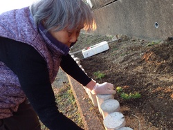 ファイル 518-2.jpg