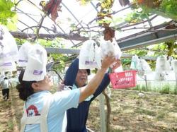 ファイル 53-1.jpg