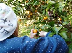 ファイル 72-1.jpg