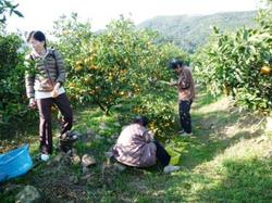 ファイル 72-2.jpg