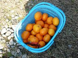 ファイル 72-3.jpg