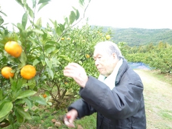 ファイル 73-1.jpg