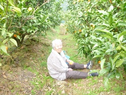 ファイル 73-3.jpg