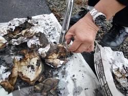 ファイル 80-3.jpg