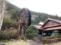 ファイル 91-1.jpg