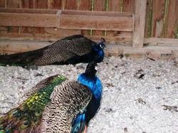 ファイル 91-3.jpg